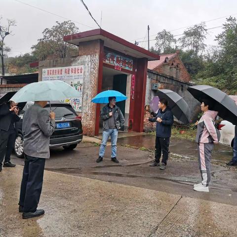 县委常委、组织部长张曙光深入台头检查指导防汛工作