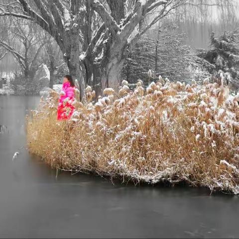 小城雪景