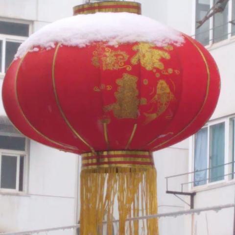 飞雪迎春