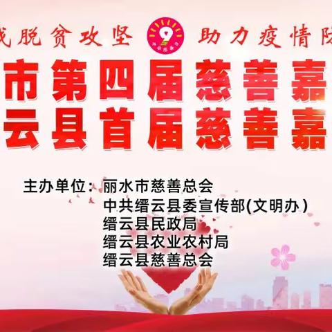 2020年“缙云慈善嘉年华”活动