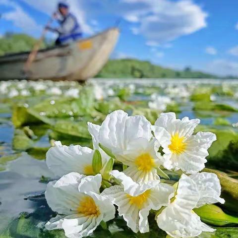 张语宸九月成长记录