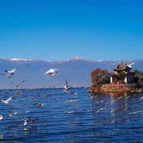 走进大自然，领略大自然的美——记下关四小一（1）班走进自然