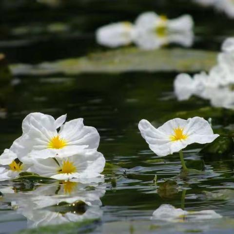 张语宸第十五、十六周成长记录