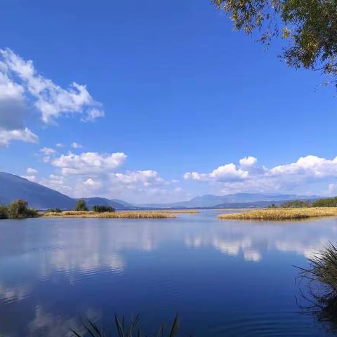 张语宸十一月成长记录