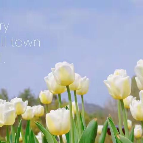 听课中收获，评课中成长——温泉镇沙湾河小学“活力课堂”大比武