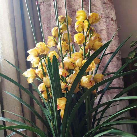 惊蛰过后，万物复苏，希望往后的日子总有温暖相伴，偶尔伴着惊喜出现。