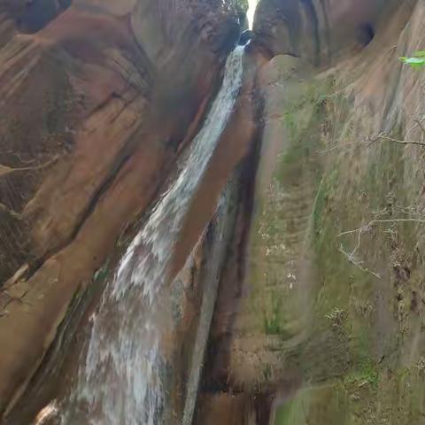 初夏红绿一日游