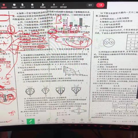 网课不停学