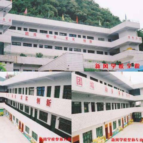 新风学校