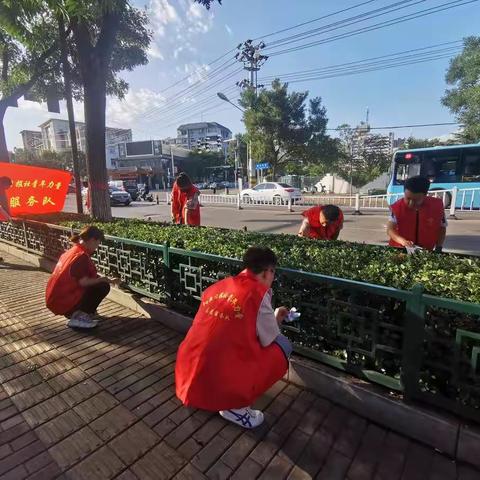 阳泉日报社团总支开展“共创文明城•团员在行动”主题团日活动