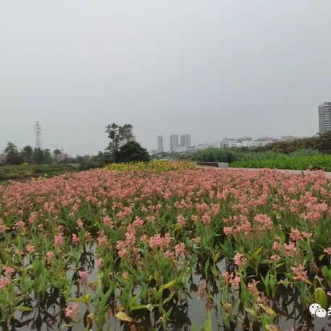 除了毛岸英之外，还有三位“高干子弟”入朝作战，结果如何？