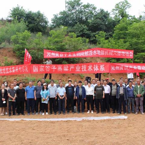 沁谷香公司在沁州黄镇南凹村举办有机早作谷子播种现场会