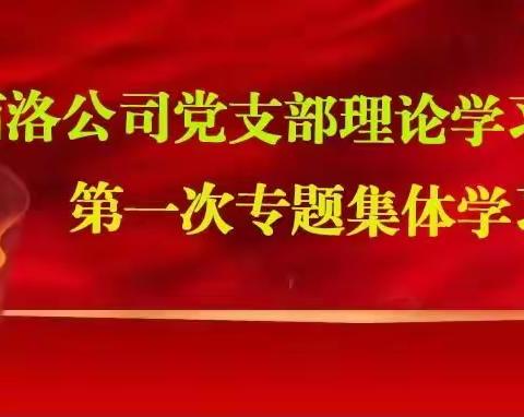 商洛公司党支部理论学习中心组举行第一次专题集体学习