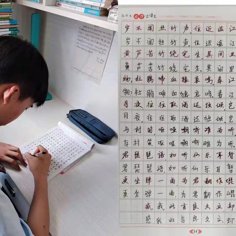 最美中职生仵佳铭的假期生活