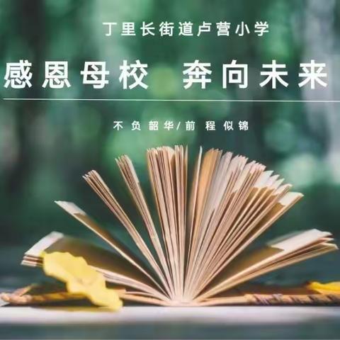 留夏回忆，未来可期——丁里长街道卢营小学毕业记