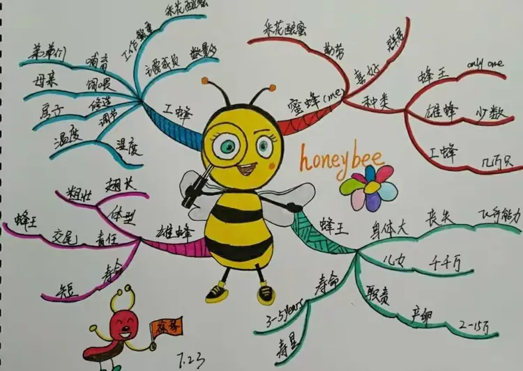 枝繁叶茂的南国大树,21天思维导图练习之十二:我们是勤劳的蜜蜂,在