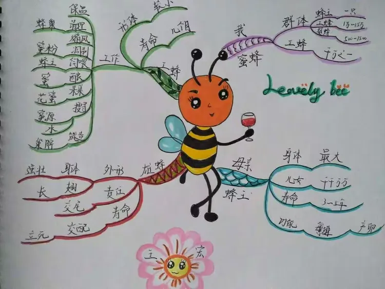 枝繁叶茂的南国大树,21天思维导图练习之十二:我们是勤劳的蜜蜂,在