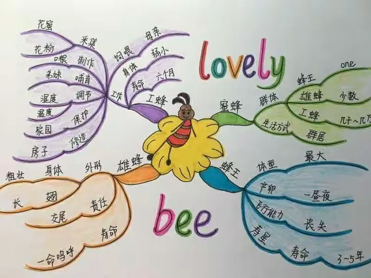 枝繁叶茂的南国大树,21天思维导图练习之十二:我们是勤劳的蜜蜂,在