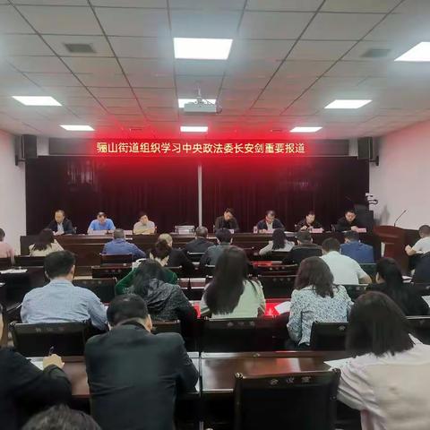 临潼区骊山街道组织全体党员干部学习中央政法委长安剑关于陈一新在广东深圳调研的重要报道