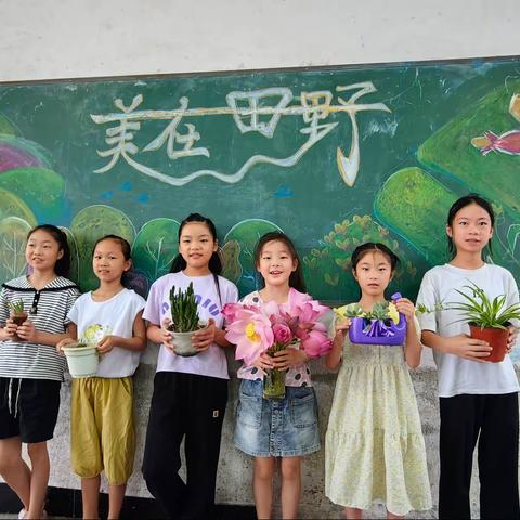 长湖之夏——昆虫篇（长湖中心学校美在田野公益项目实践）