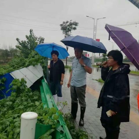 风雨砺初心，防汛显使命