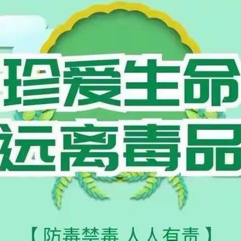 健康人生 绿色无毒——华龙学校八年级组特色活动