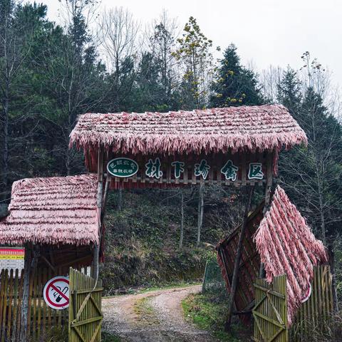 鹤城区四十湾