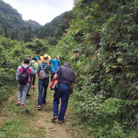 夏日足迹——风车山之旅