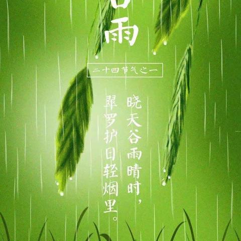 谷雨时节，雨生百谷—青河实验附属幼儿园中二班谷雨系列活动