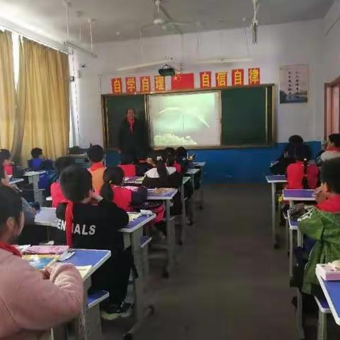 青云街道瑞山联办小学植树节活动