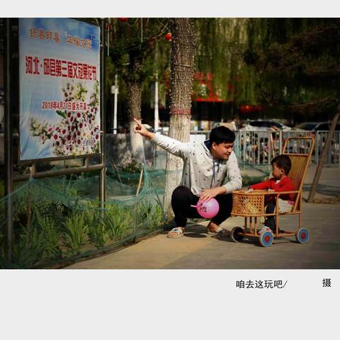 邱县文冠果花节和全省摄影大赛