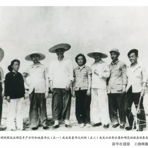 周恩来总理视察成安县道东堡万亩棉花丰产方
