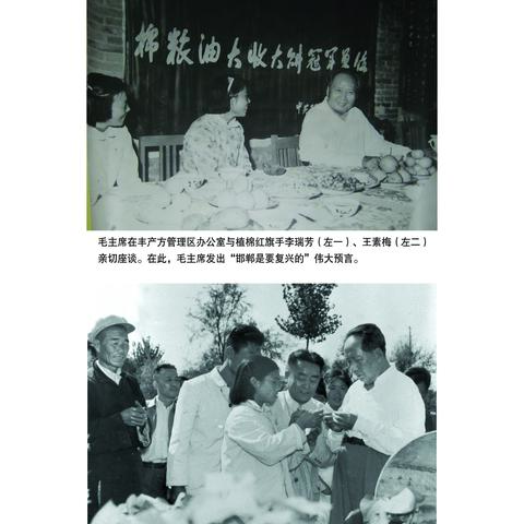 毛主席视察成安棉花丰产方纪实
