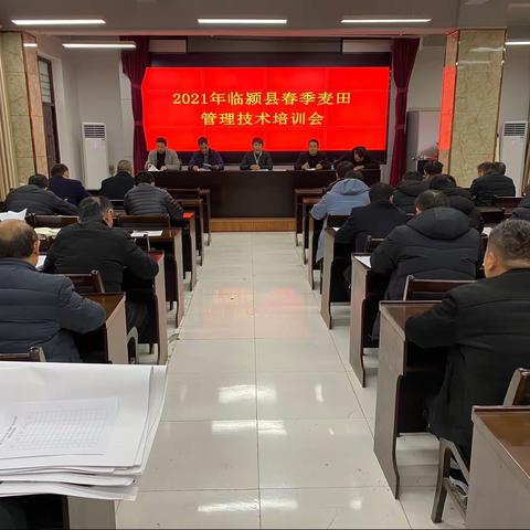 「人勤春来早 奋进正当时」临颍县农业农村局多种措施加强春季田间管理