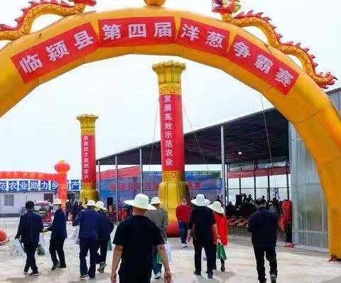 临颍县第四届洋葱争霸赛