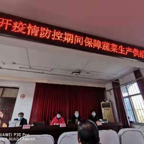 临颍县农业农村局疫情防控期间加强蔬菜等农产品技术指导确保全县蔬菜等农品生产与畅销