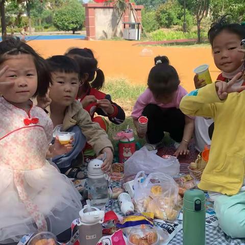 【幼小衔接 我们在行动】——我们去野餐（中一班）