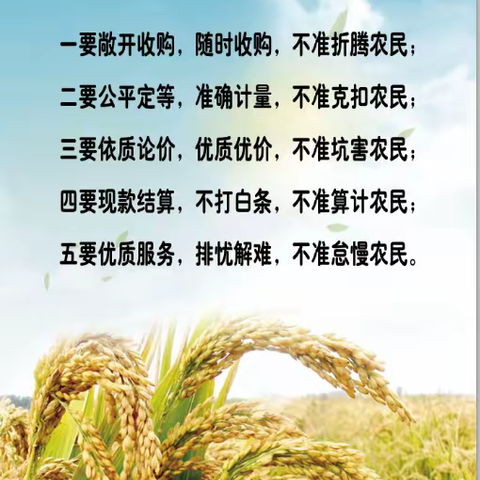 颗粒归仓 军星粮油全力抓好夏粮收购