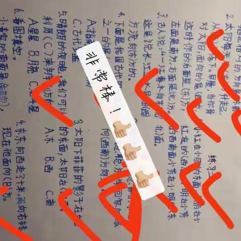 孟娜优秀作业展
