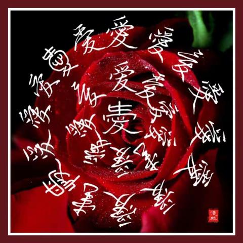 心经大赛投稿后，回想一路走来，原来全是风景