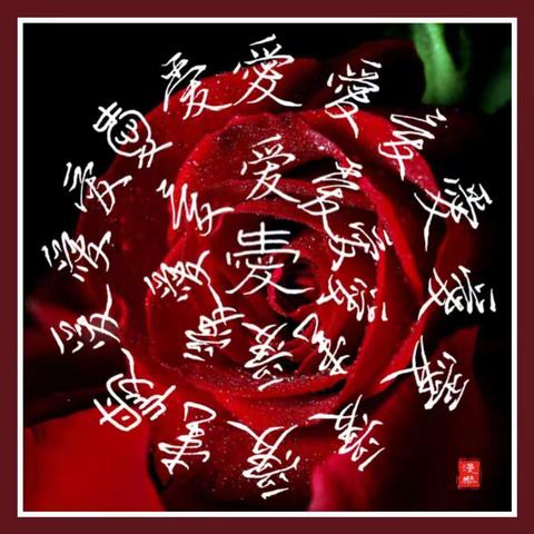 “停课不停学，别样的才丰课程”——煮饺论英雄，我是佼佼者，华山中学六年级抗疫期间“才丰课程”追踪汇报（二）