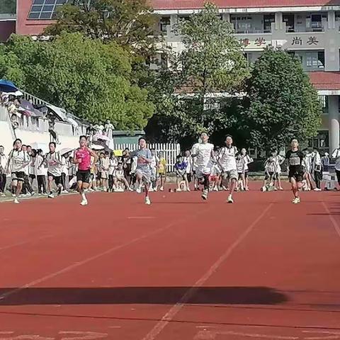 最美运动会4