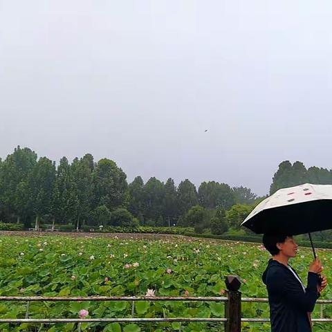 雨中即景寄深情