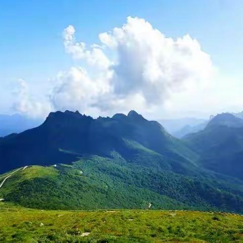 徒步一次就会上瘾的地 🏞秦岭光头山🏞