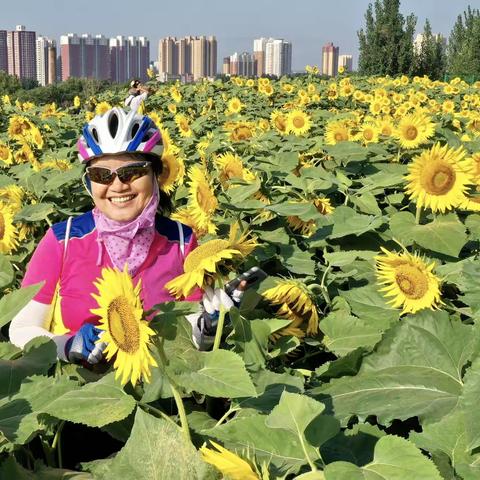 近几天骑行感悟🚴🏻🚴🏻🚴🏻