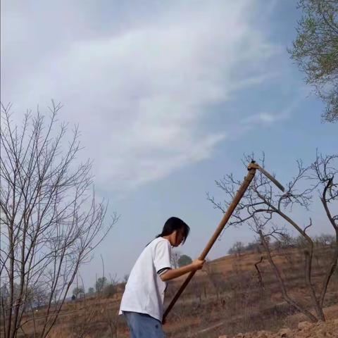 幸福是靠劳动奋斗出来的———常张联校壁村学校“争做文明小卫士”系列活动