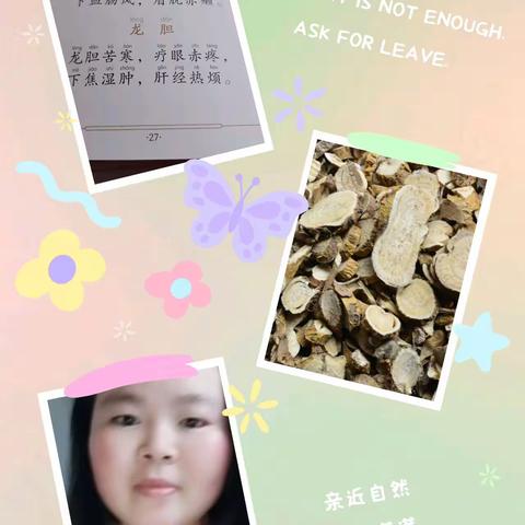 读经典感恩日记115至随顺老人，让一家人，生欢喜心。