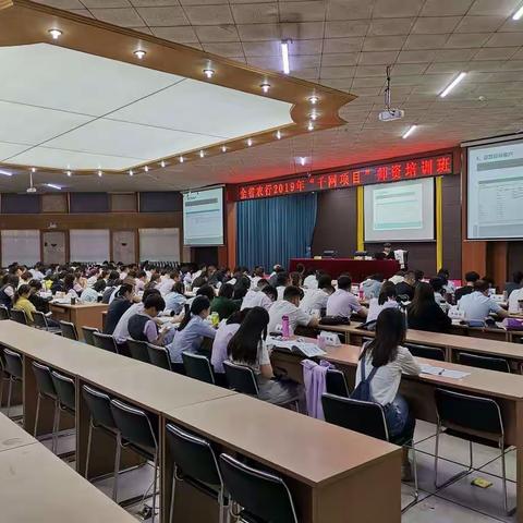 做一颗千网的“小太阳”