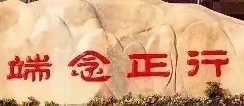 桃李齐放竞芳菲，砥砺前行获佳绩——凤华实验学校2020小考、中考告捷