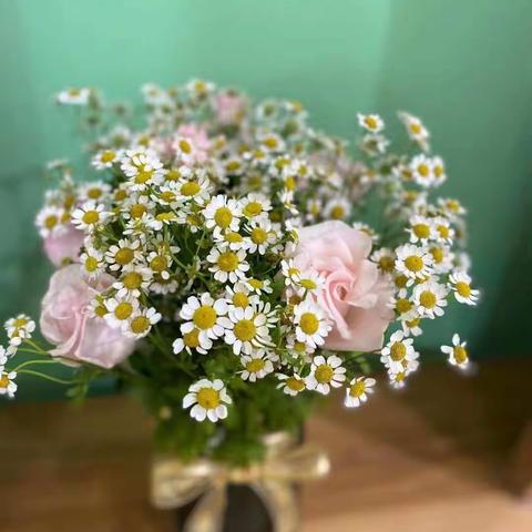 告别过往，为梦启航！